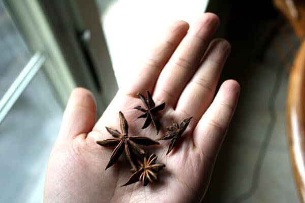 star anise by cwww5.fioekdjsdas.cf