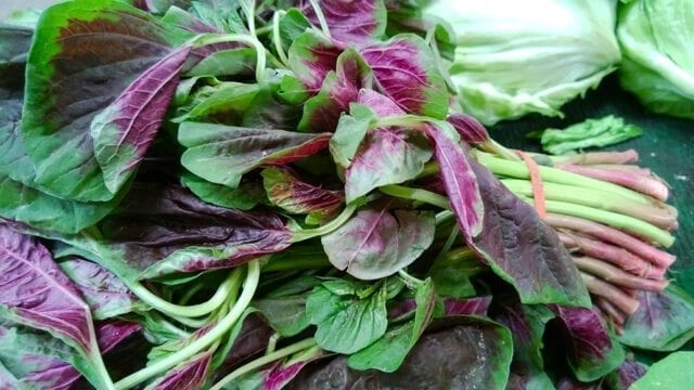 Chinese vegetables: amaranth, by cwww5.fioekdjsdas.cf