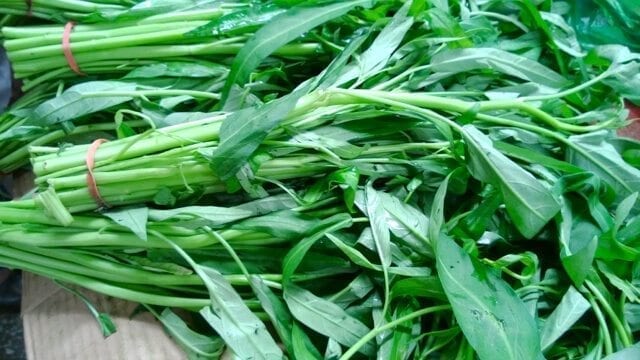Chinese vegetables: water spinach , by cwww5.fioekdjsdas.cf 