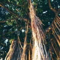 16 Reasons Why Hawaii is Pretttttty Much The Bomb, by cwww5.fioekdjsdas.cf