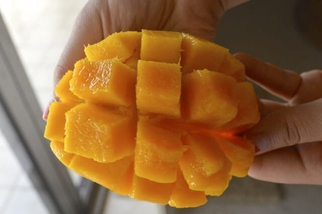 16 Reasons Why Hawaii is Pretttttty Much The Bomb - mango, by cwww5.fioekdjsdas.cf