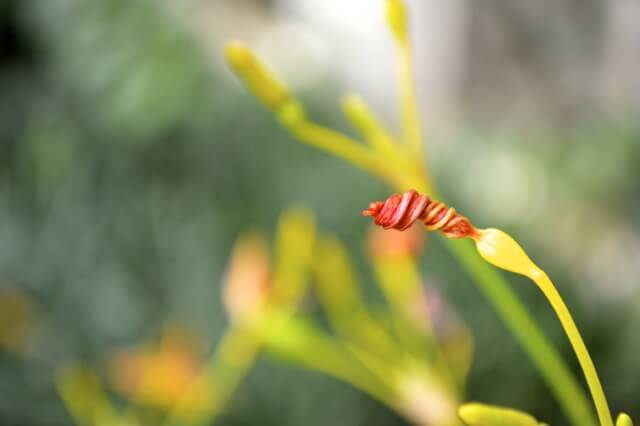 16 Reasons Why Hawaii is Pretttttty Much The Bomb - orchid-bud, by cwww5.fioekdjsdas.cf