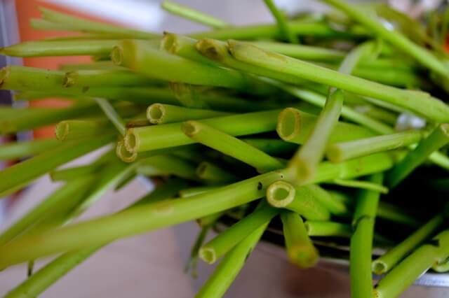 Stir Fried Water Spinach with Fermented Tofu, by cwww5.fioekdjsdas.cf