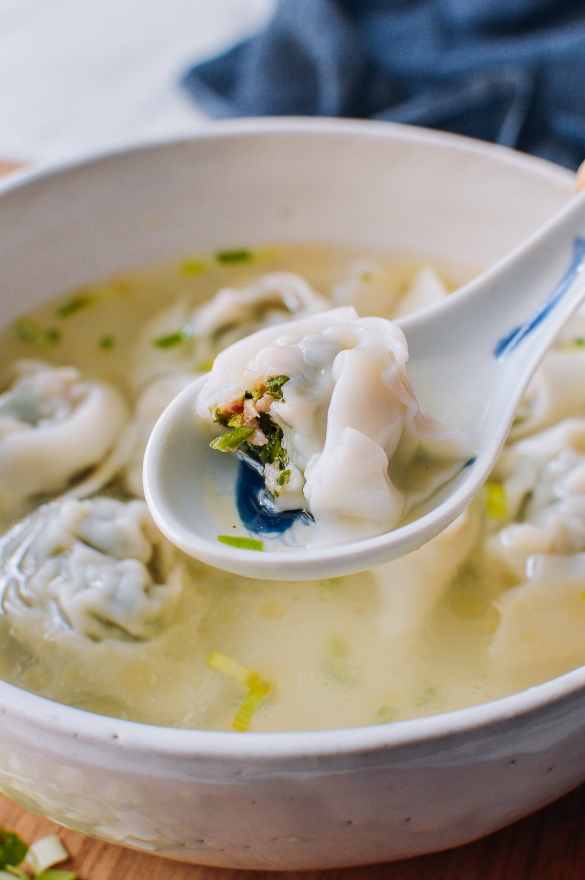 Wonton Soup Recipe, cwww5.fioekdjsdas.cf