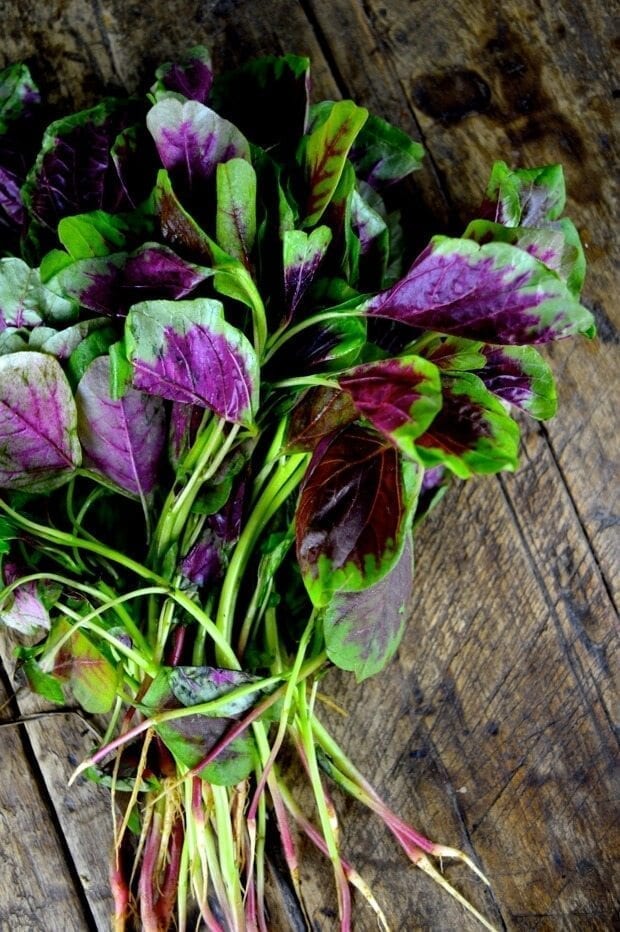 Stir-fried Pink Amaranth Greens by cwww5.fioekdjsdas.cf