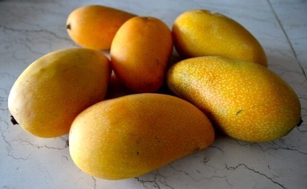Mango Pie Recipe, by cwww5.fioekdjsdas.cf