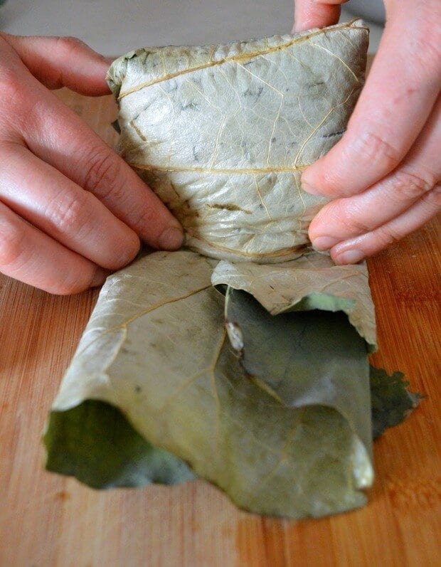 Dim Sum Sticky Rice Lotus Leaf Wraps (Lo Mai Gai), by cwww5.fioekdjsdas.cf