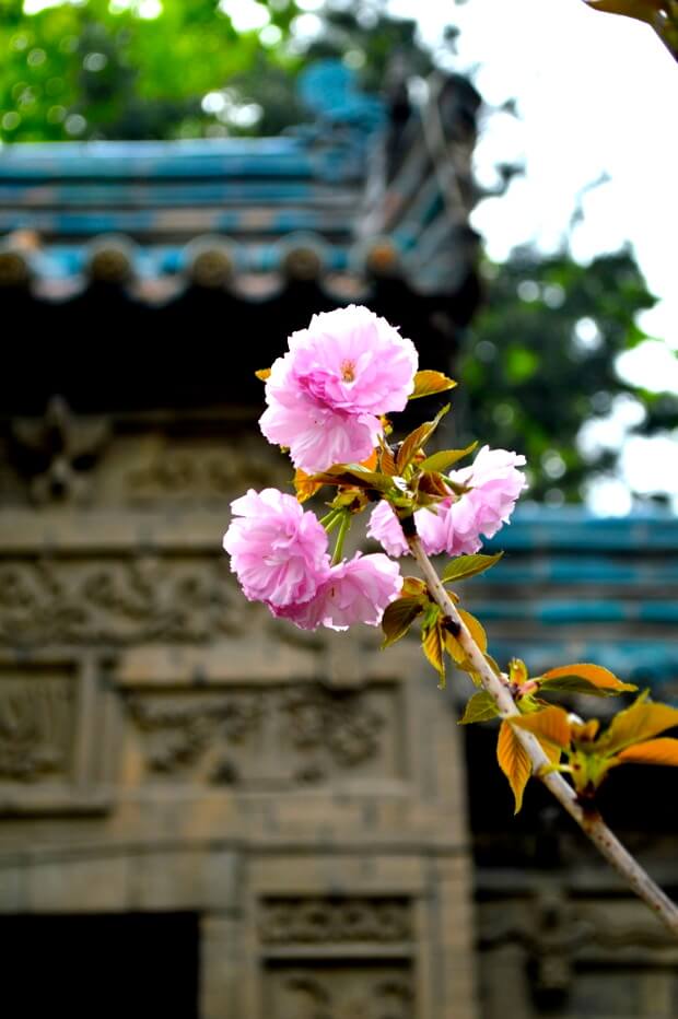 A Trip to Huashan and Xi'an by cwww5.fioekdjsdas.cf 