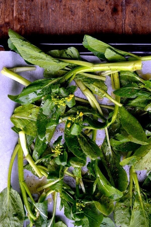 Creamy Roasted Choy Sum Pesto Pasta, by cwww5.fioekdjsdas.cf 