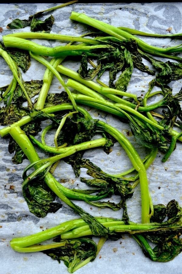 Creamy Roasted Choy Sum Pesto Pasta, by cwww5.fioekdjsdas.cf 