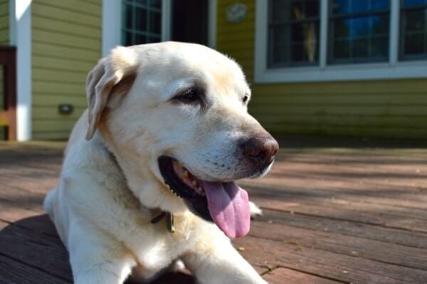 Our Jake by cwww5.fioekdjsdas.cf
