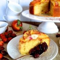 Stone Fruit Semolina Olive Oil Cake w/ Earl Grey Rose Syrup by cwww5.fioekdjsdas.cf