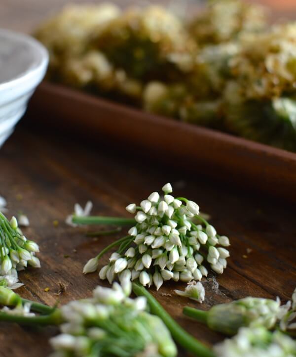 Chinese Garlic Chive Flower Tempura Recipe, by cwww5.fioekdjsdas.cf
