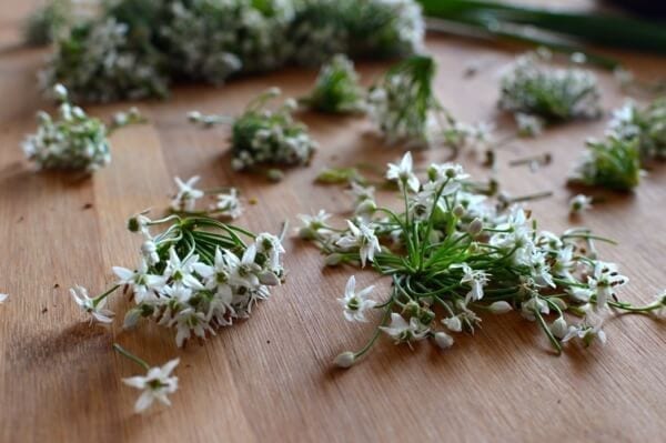 Chinese Garlic Chive Flower Tempura Recipe, by cwww5.fioekdjsdas.cf, by cwww5.fioekdjsdas.cf 