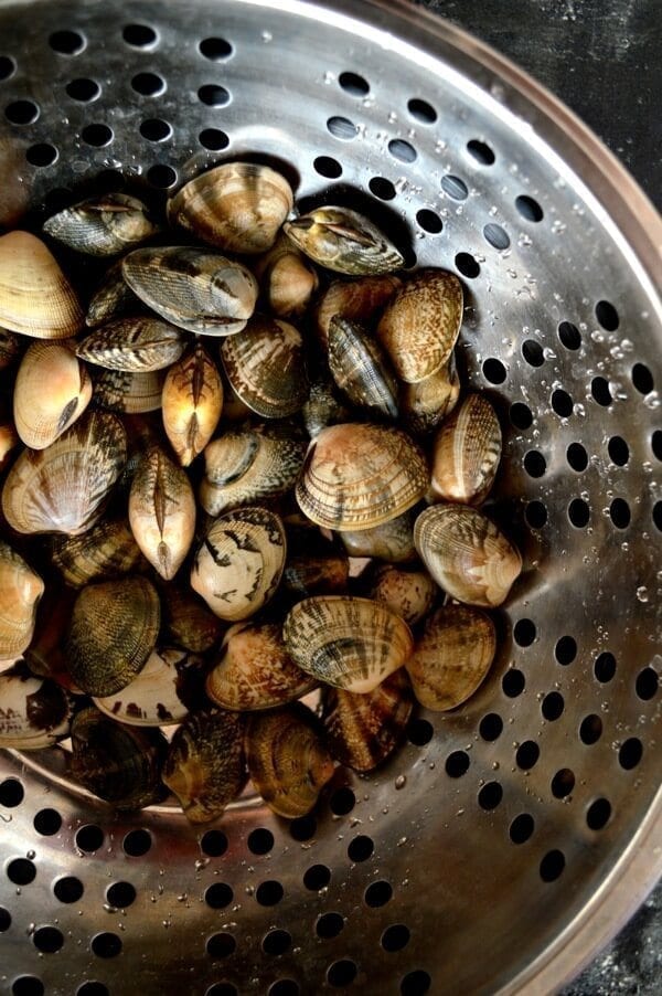 Stir-Fried Fresh Clams in Black Bean Sauce by cwww5.fioekdjsdas.cf