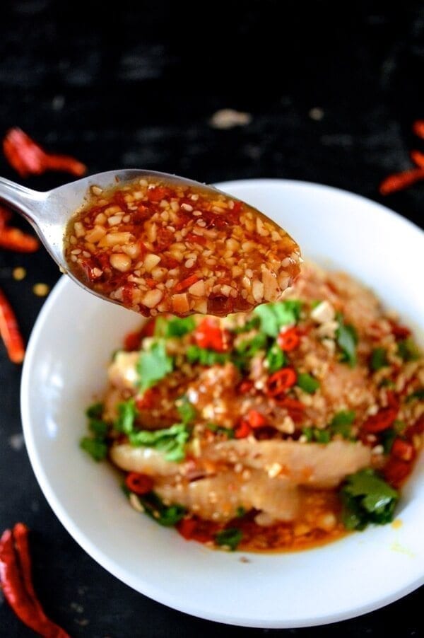 Drool-worthy Chicken in Chili Oil Sauce (Kou Shui Ji), by cwww5.fioekdjsdas.cf