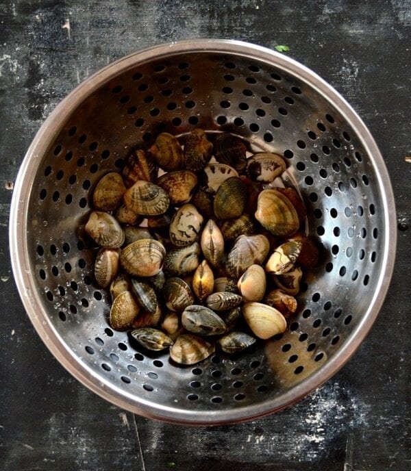 Stir-Fried Fresh Clams in Black Bean Sauce by cwww5.fioekdjsdas.cf
