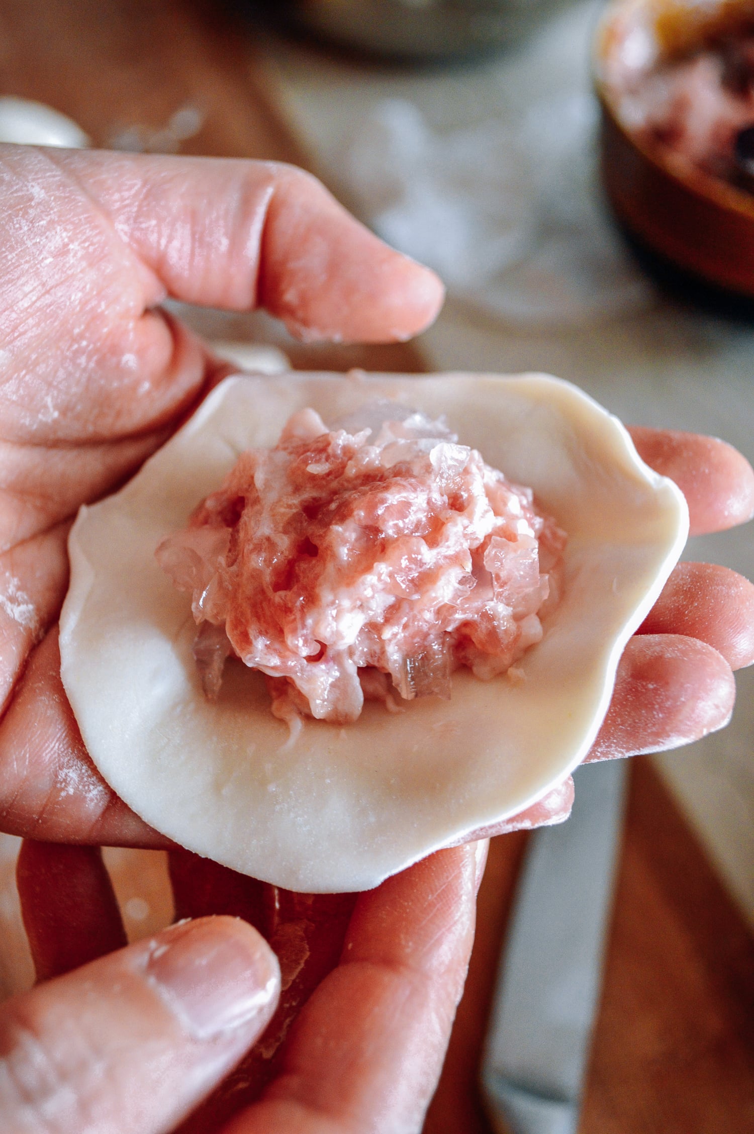 Pork and aspic filling on thin dumpling wrapper, by cwww5.fioekdjsdas.cf
