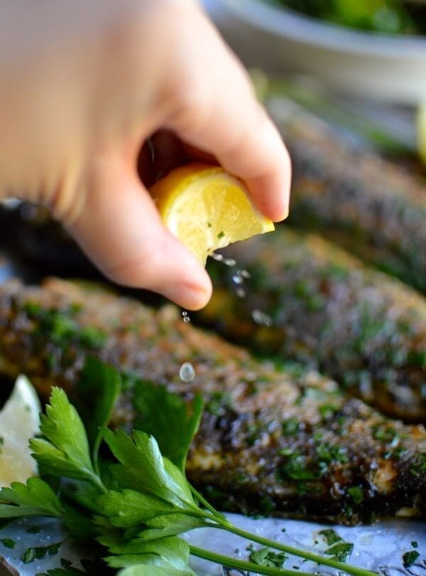 Lemon Soy Roasted Branzino, by cwww5.fioekdjsdas.cf