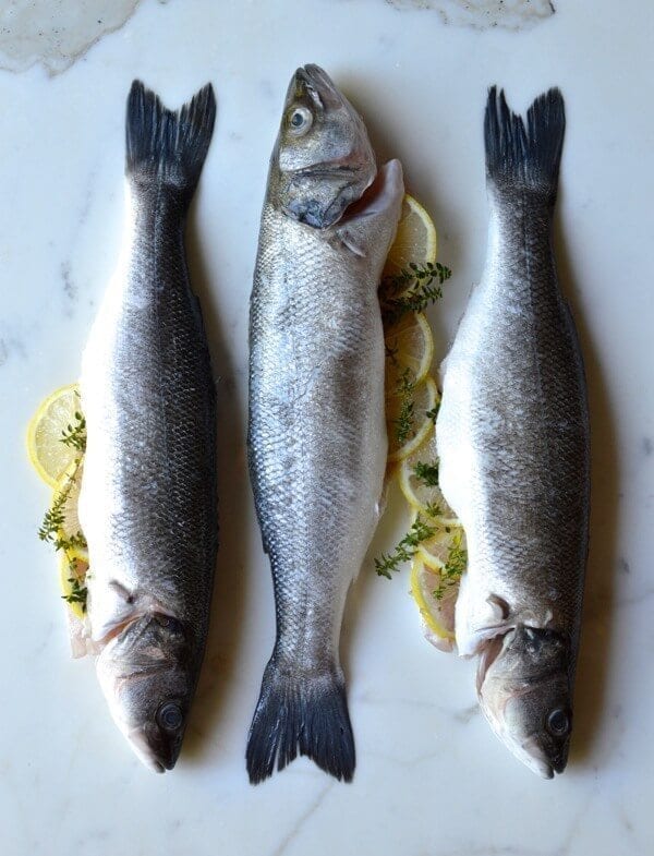 Lemon Soy Roasted Branzino, by cwww5.fioekdjsdas.cf