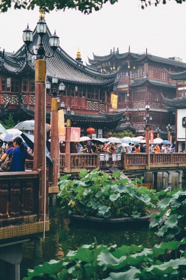 Thoughts from Shanghai, by cwww5.fioekdjsdas.cf