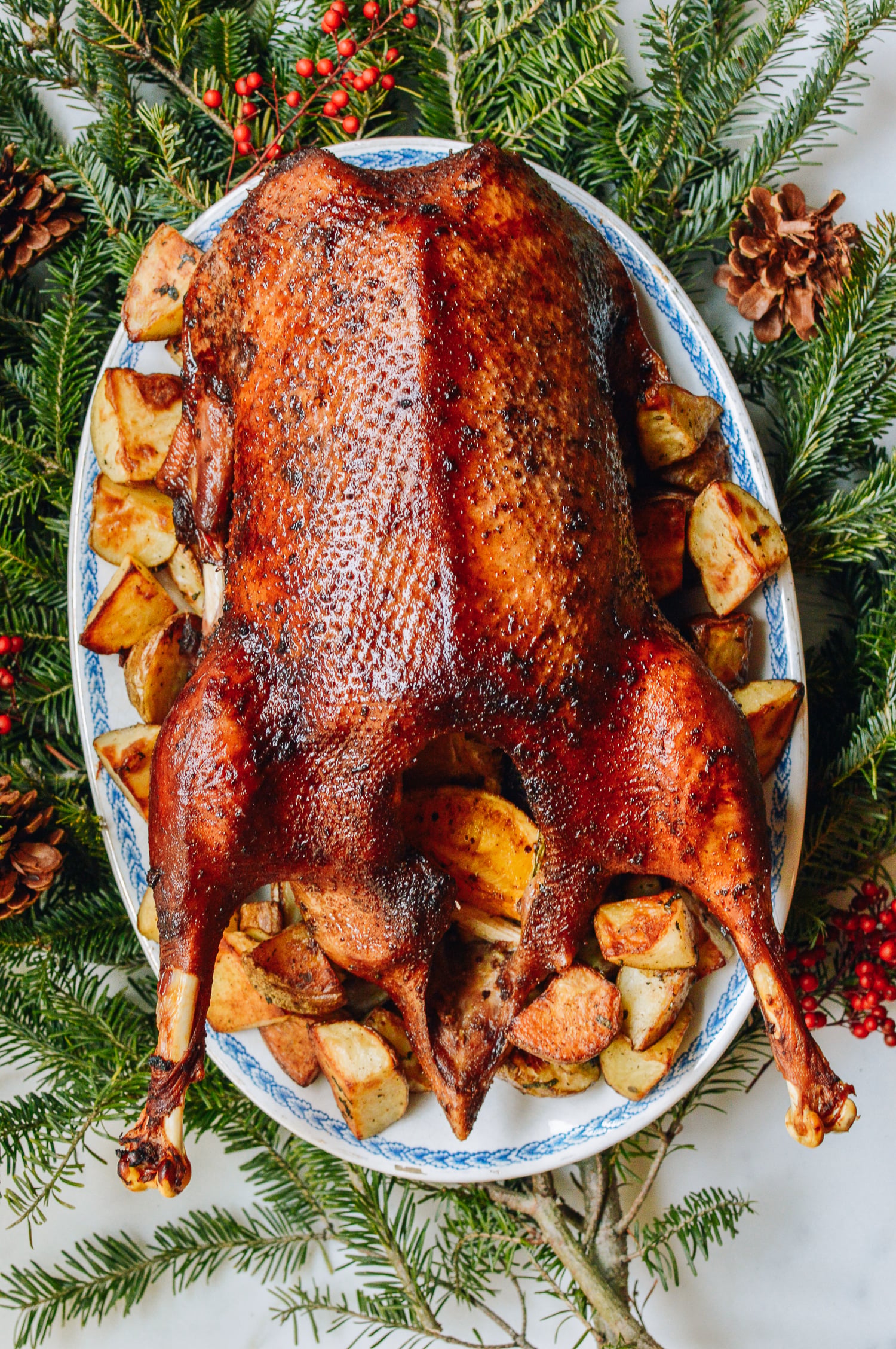 Orange Five-Spice Roast Goose and Potatoes, by cwww5.fioekdjsdas.cf