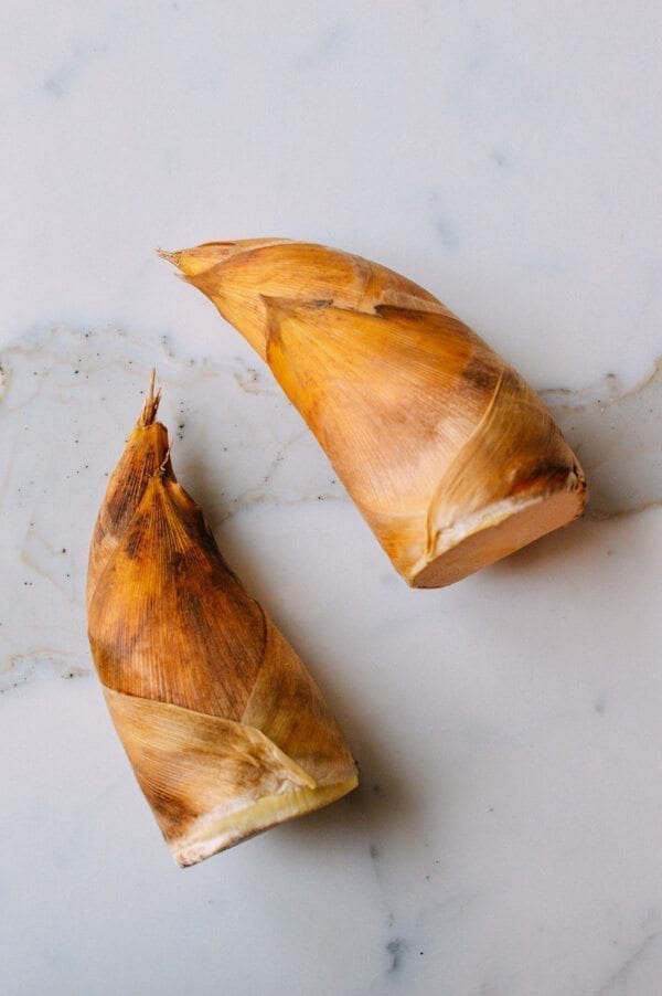 Winter Bamboo Shoot, by cwww5.fioekdjsdas.cf
