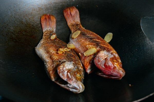 Chinese Braised Fish (Hongshao Yu), by cwww5.fioekdjsdas.cf