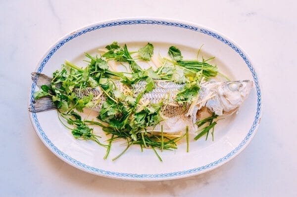 Steamed Whole Fish - Chinese Style, by cwww5.fioekdjsdas.cf