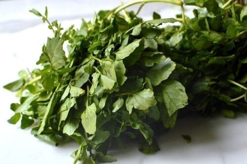 Chinese Vegetables: watercress, by cwww5.fioekdjsdas.cf 
