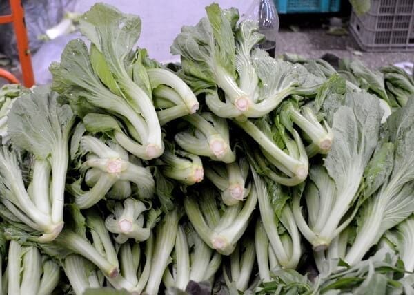 Chinese Vegetables: Chinese mustard greens, by cwww5.fioekdjsdas.cf