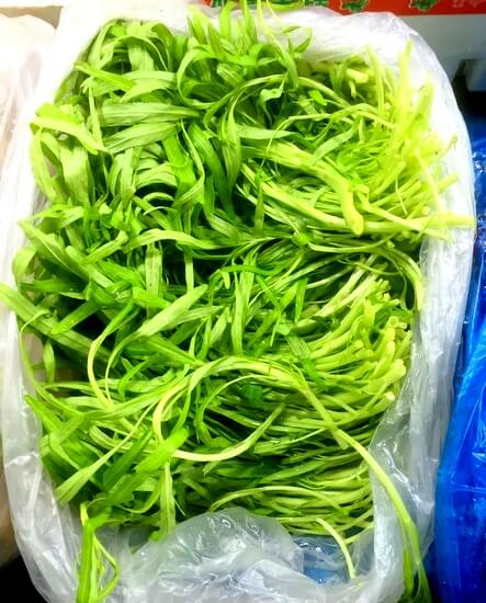 Chinese vegetables: baby water spinach , by cwww5.fioekdjsdas.cf 