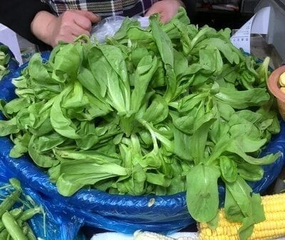 Chinese Vegetables: tong ho - large leaf, by cwww5.fioekdjsdas.cf