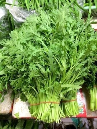 Chinese Vegetables: tong ho - medium leaf, by cwww5.fioekdjsdas.cf