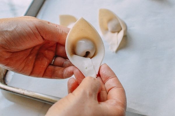 Fried Wontons, by cwww5.fioekdjsdas.cf