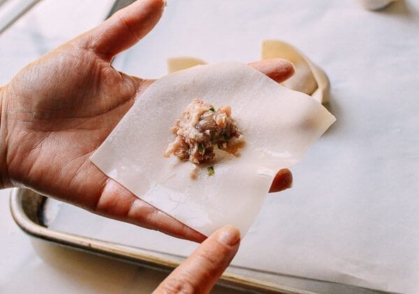 Sichuan Spicy Wontons, by cwww5.fioekdjsdas.cf