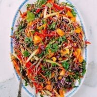 Rainbow Noodle Salad, by cwww5.fioekdjsdas.cf