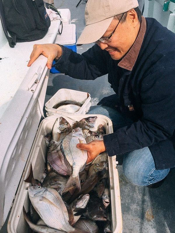 Pan Fried Fish - Chinese Whole Fish Recipe, porgy-fishing-woks-of-life, by cwww5.fioekdjsdas.cf