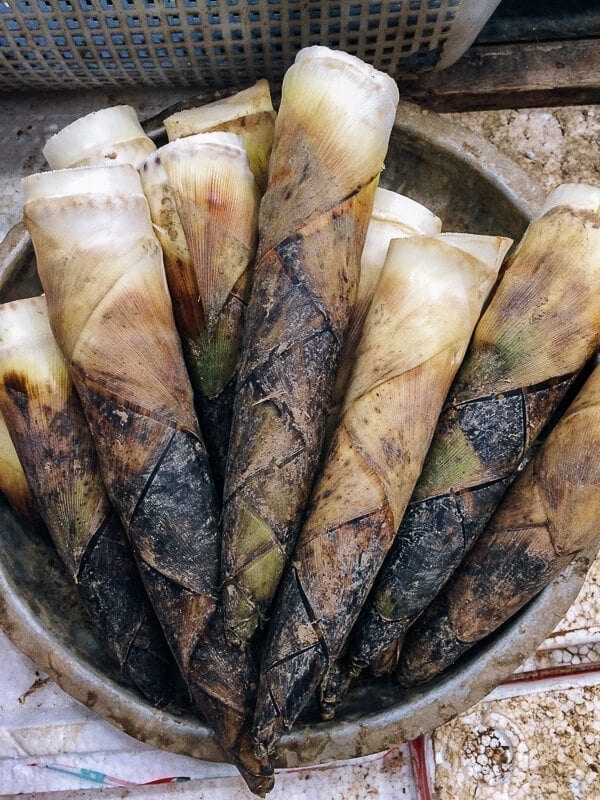 Braised Spring Bamboo Shoots (油焖笋), by cwww5.fioekdjsdas.cf