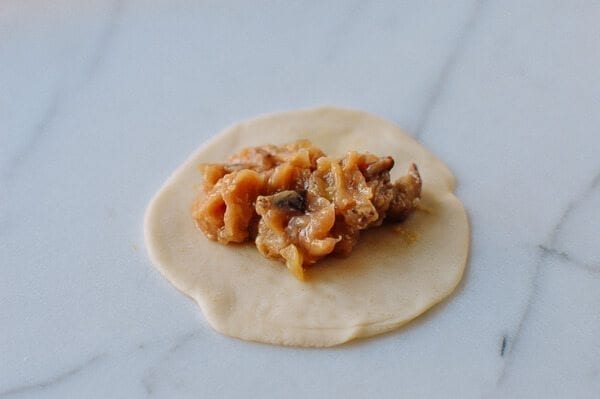Chicken Dumplings with Shiitake Mushrooms, by cwww5.fioekdjsdas.cf
