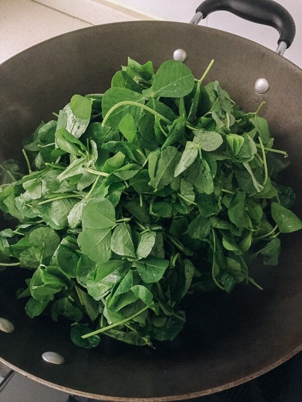 Sautéed Edible Clover (Chao Tou - 炒头) wok with clover, by cwww5.fioekdjsdas.cf