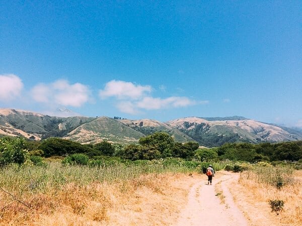 Andrew Molera State Park Trail, by cwww5.fioekdjsdas.cf