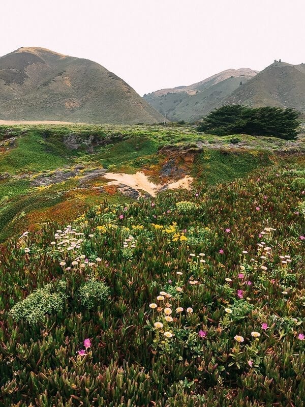 Big Sur, by cwww5.fioekdjsdas.cf