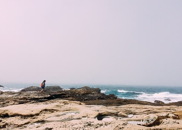 Point Lobos, by cwww5.fioekdjsdas.cf