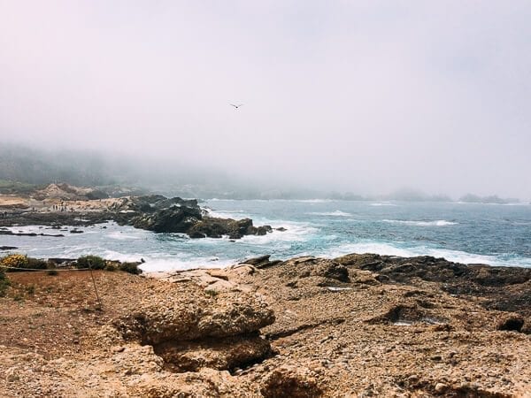 Point Lobos, by cwww5.fioekdjsdas.cf