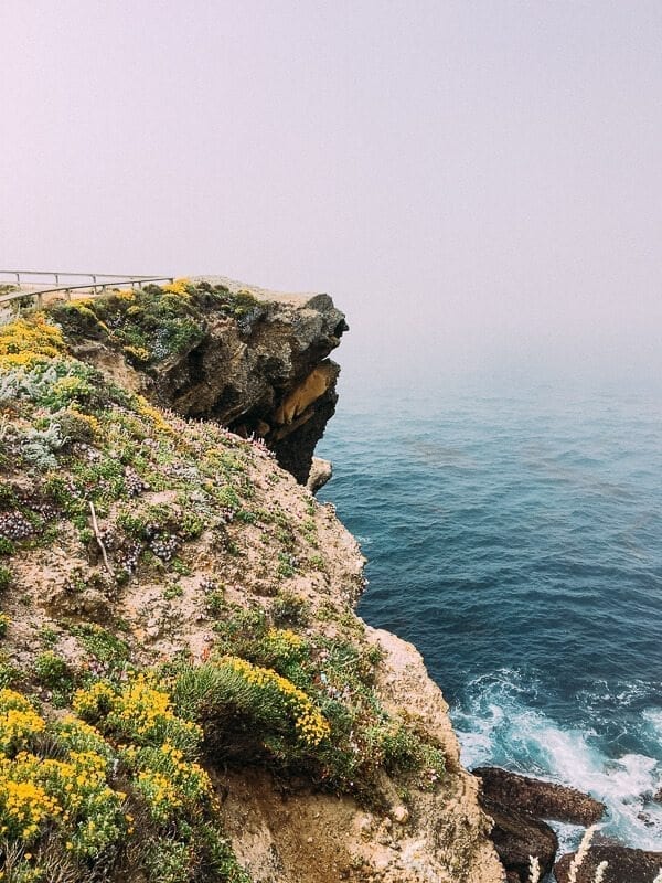 Point Lobos, by cwww5.fioekdjsdas.cf