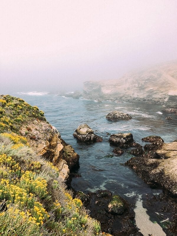 Point Lobos, by cwww5.fioekdjsdas.cf
