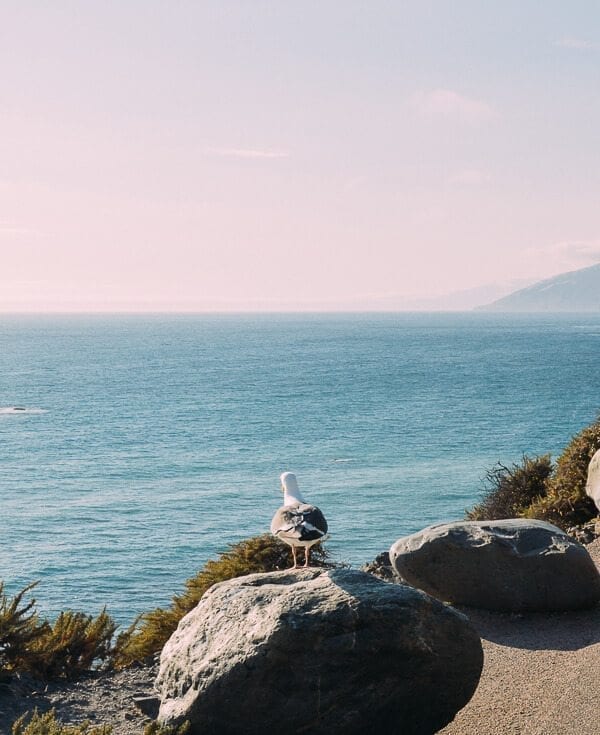 Pacific Coast Highway, by cwww5.fioekdjsdas.cf