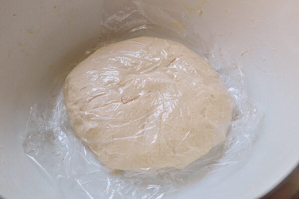 resting dough under plastic for Shanghai Scallion Pancakes, by cwww5.fioekdjsdas.cf