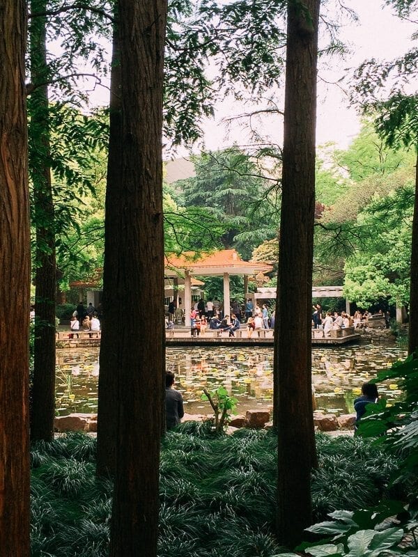 Seeking Love in Shanghai: The People’s Park Matchmaking Corner, by cwww5.fioekdjsdas.cf